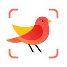 Picture Bird 拍照识鸟 v2.9.30 鸟的名称和种类1秒识别