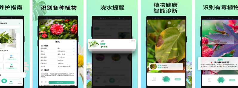PictureThis 植物识别 识别各种植物 植物养护 识别有毒植物