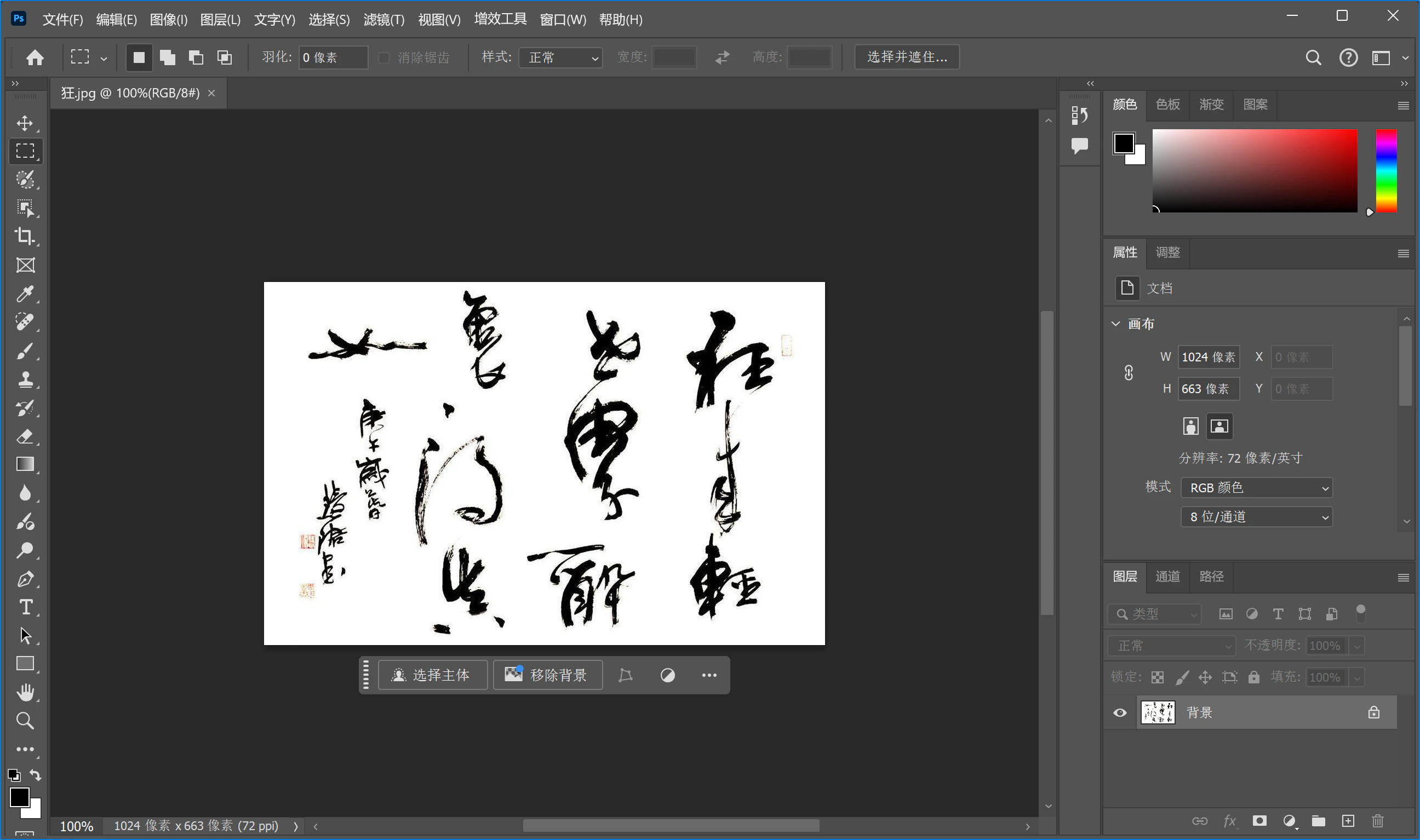 Adobe Photoshop 2025 知名电脑图片处理软件